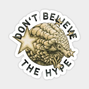 DON'T BELIEVE THE HYPE 2020 Magnet