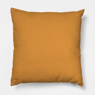 Burnt Orange Plain Solid Color Pillow