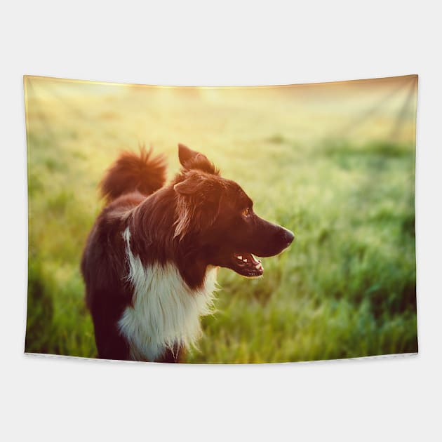 Happy dog Tapestry by 1STunningArt