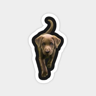 Brown Puppy on the Move! Magnet