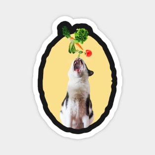 My Fav Food Is Veggie Magnet