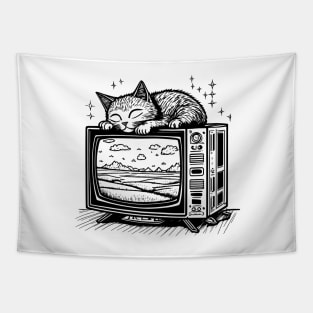Kitty sleeping on TV Tapestry