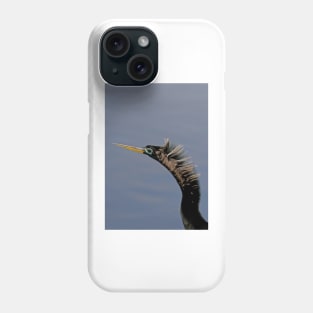 Anhinga - Florda Phone Case