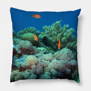 Red Sea Coral Reef Pillow