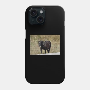 Wild Horse Phone Case