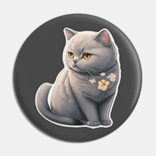 a cute chartreux Pin