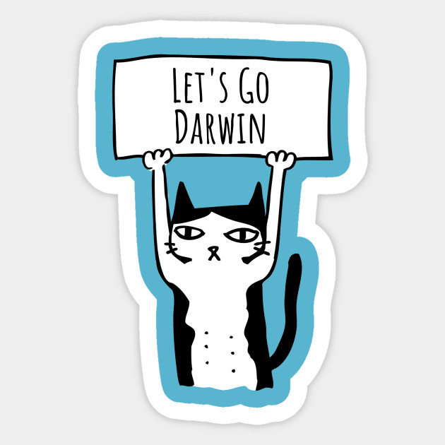 Let's Go Darwin Featuring Protest Cat - Lets Go Darwin - Sticker