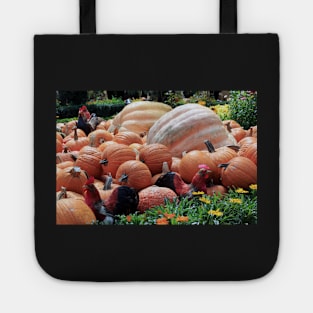 Chickens in the pumpkins Tote