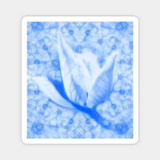 Abstract Bauhinia flower in blue Magnet