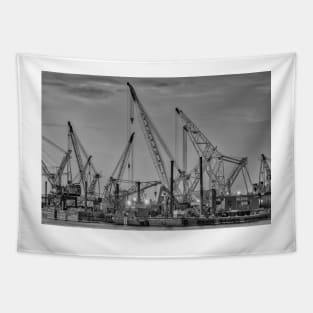 Cranes B+W Tapestry