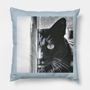 PHOTOGRAPHY CAT BLACK Pillow