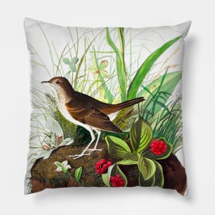 Tawny Thrush from Birds of America (1827) Pillow