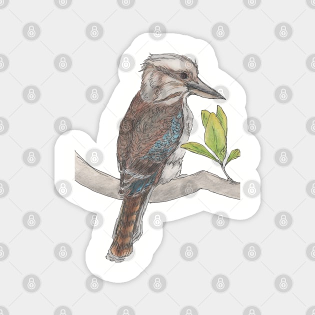 Kookaburra Magnet by AussieLogic