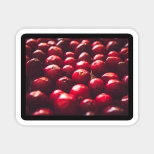 Cranberry Grain Magnet