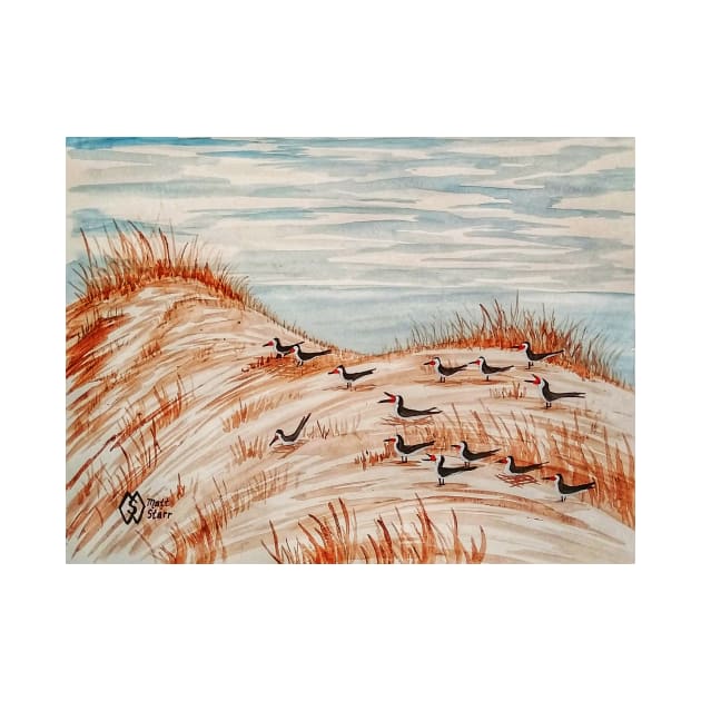 Black Skimmers Nesting Colony by Matt Starr Fine Art