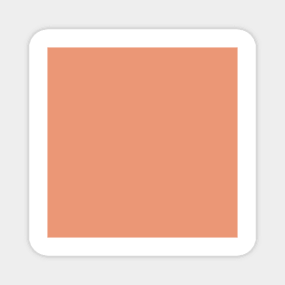 Designer Color of the Day - Shell Coral Peach Orange Solid Color Magnet