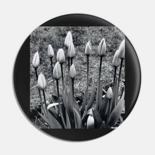 Tulips Pin