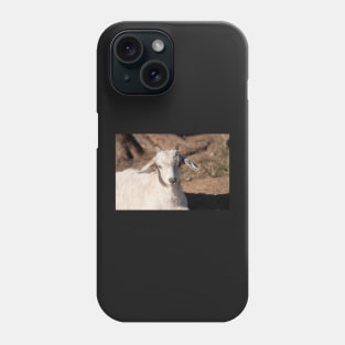 White Kid Goat Phone Case