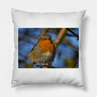 Robin in winter sunshine Pillow