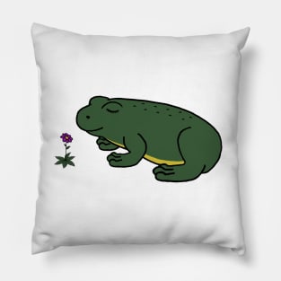 Peaceful Frog Pillow