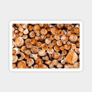 Wood Logs Stacked High & Dry Magnet