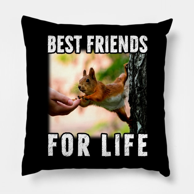 Squirrel Best Friend For Life Pillow by reginaturner