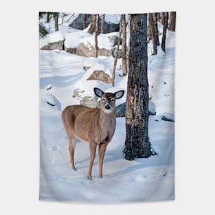 White-tailed Deer Tapestry