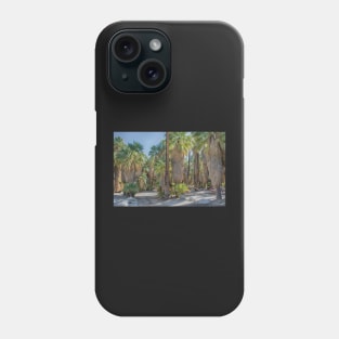 Indian Canyons California Phone Case