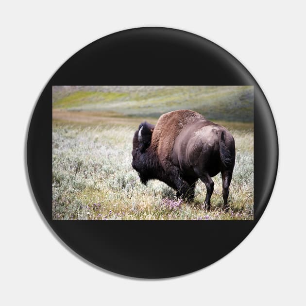 American Bison Pin by heidiannemorris