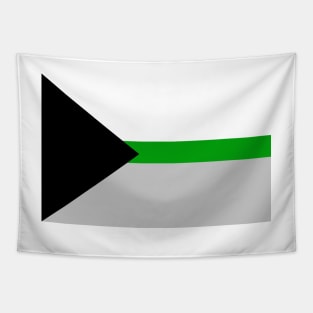 Demiromantic Pride Flag Tapestry