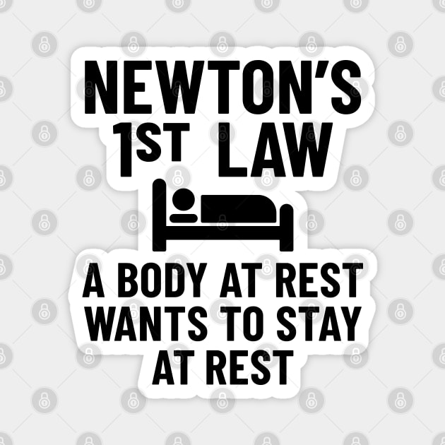 Funny Physics Joke - Newton's First Law Magnet by codeclothes