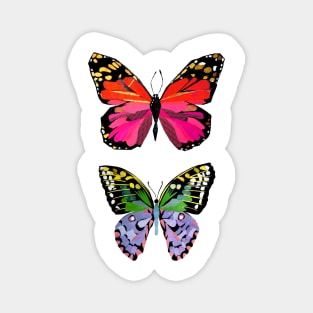 Two beautiful butterflies Magnet
