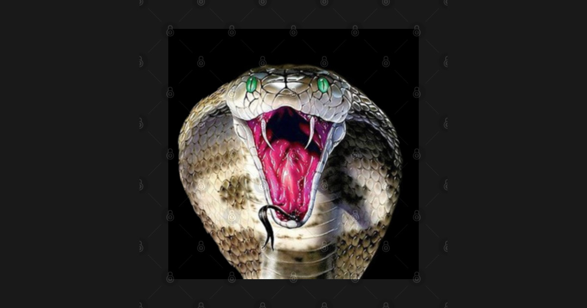 Cobra fangs viper serpent snake fangs forked tongue flick poison open