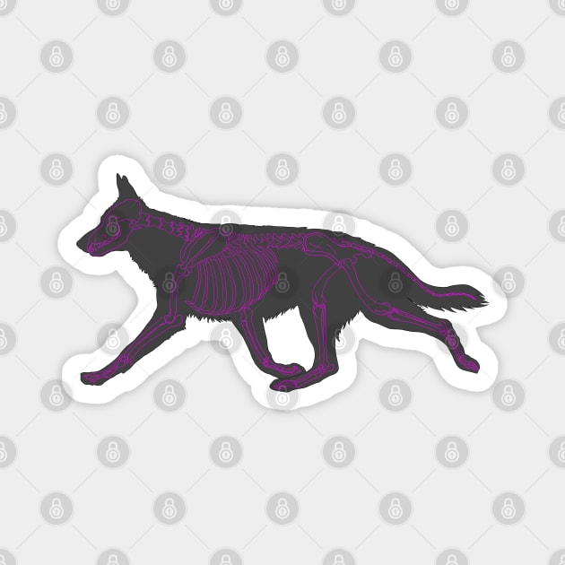 Halloween Design - Dog Skeleton Pink Magnet by Earthy Fauna & Flora