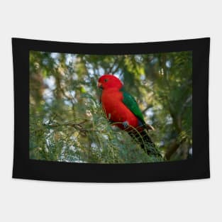 Male King Parrot, Queensland Australia Tapestry