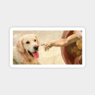 The creation of Dog Magnet