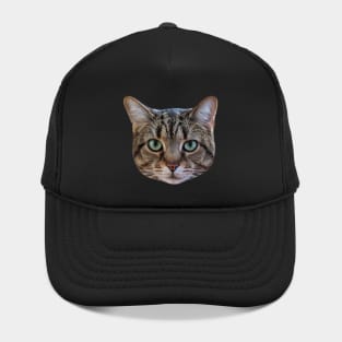 Tabby Cat Lover Brown Tabby Cat Owner Tabby Cat Mom Hat