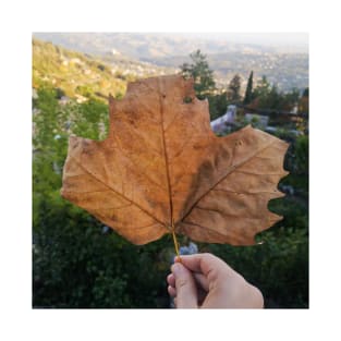 Fall leaf photography T-Shirt