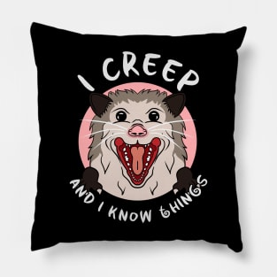 Creepy Possum Pillow