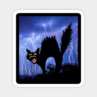 Cat Mom Crazy Cat Black Cat Lightning Night Magnet