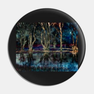 Night Descends On The Pond Pin