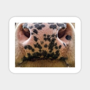 cow mouth face mask - cow lover gifts - cow face masks funny Magnet