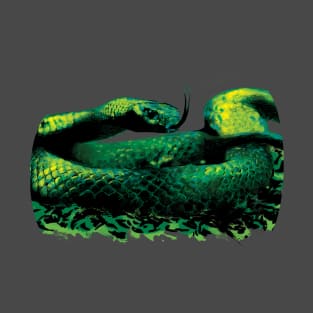 Painted Snake T-Shirt