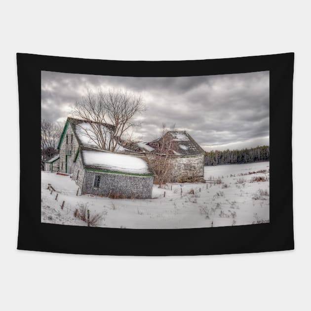 Winter Burden Tapestry by BeanME