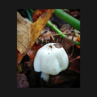 Tiny Spider On Tiny Mushroom T-Shirt