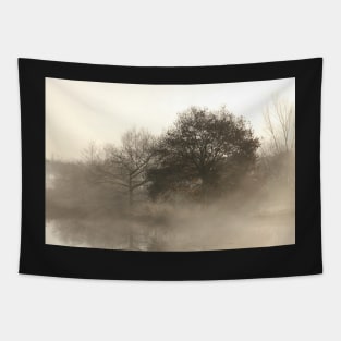 Lake, autumn mood, ground fog, hoarfrost, trees, landscape, Fischerhude, Lower Saxony, Germany Tapestry