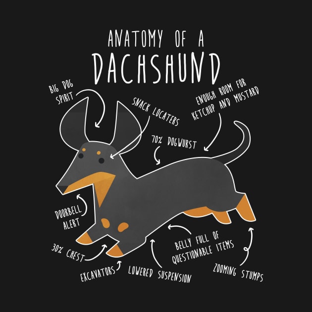 Black and Tan Dachshund Dog Anatomy by Psitta