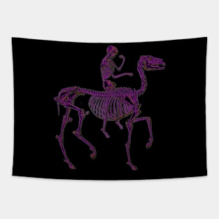 Pink pony Tapestry