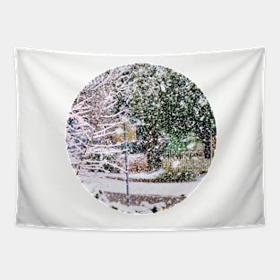 Winter Wonderland! Tapestry