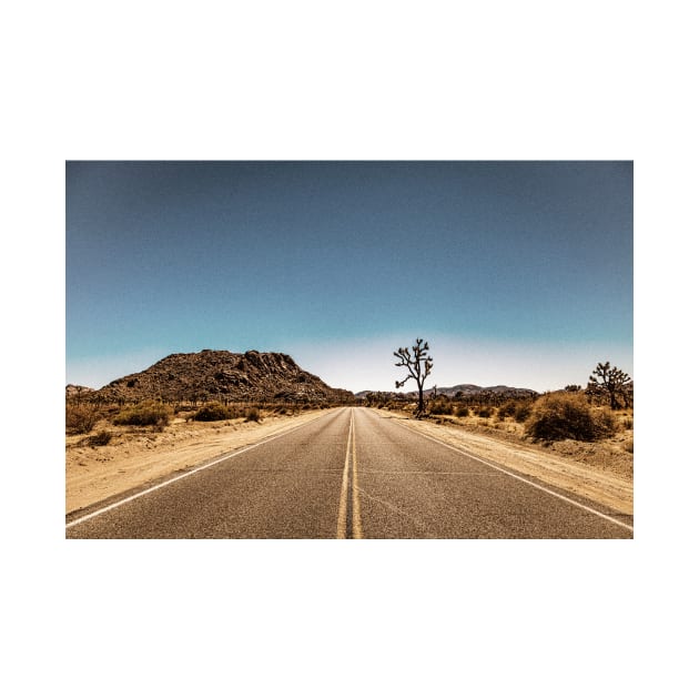 Joshua Tree National Park, California by Gestalt Imagery